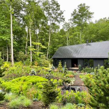 Front meadow in early summer 2021 - street view