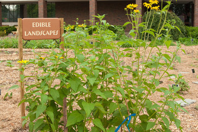 Design ideas for a full sun vegetable garden landscape in Other.