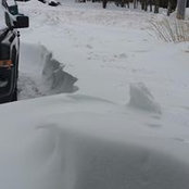 Cathy Curran's photo