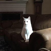 Kim McCloud's photo