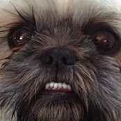 Diane Ladds's photo