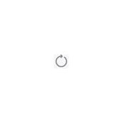 Alexander Stout's photo