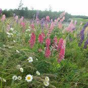 Lori Conway's photo