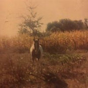 Joan Miller-Eller's photo
