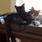 Luann Haas's photo