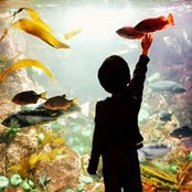 Jennifer Wong's photo