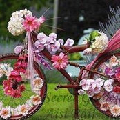 Cheryl Kennedy Fischer's photo