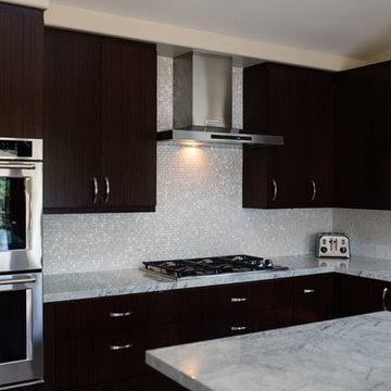 Point Loma Kitchen Remodel