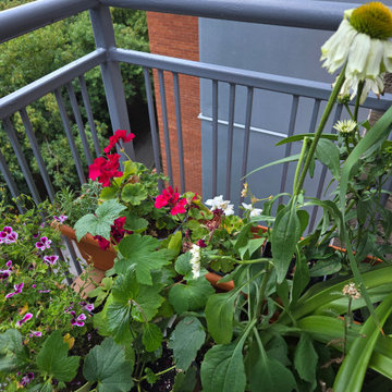 BALCONY GARDEN - an Edible and Ornamental Garden in the Sky