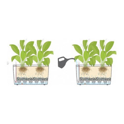 Cararo Premium 75  Lechuza - Indoor Pots And Planters