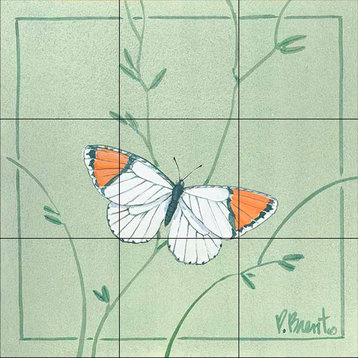 Tile Mural, Orange Tip Butterfly by Paul Brent