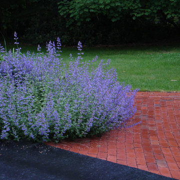 Front Walk and Garden