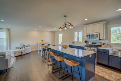 Kitchen - transitional kitchen idea in Other