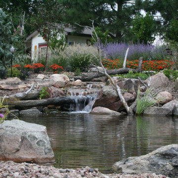 Koi Ponds and Water Gardens