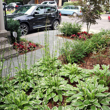Bloor West Village Front Yard Makeover