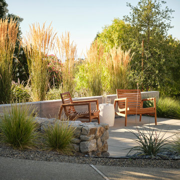 Alamo Hilltop