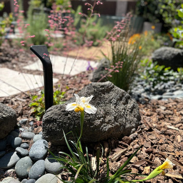 A Condo's Peaceful Front Yard Respite