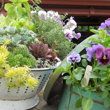 garden ideas