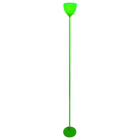 Lite Source LS-82838 Terran 1 Light Floor Lamp - Green