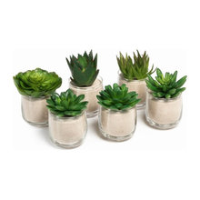 Faux Plants