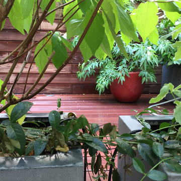 Le jardin secret d'un hôtel particulier