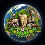 Foto von EV Pass