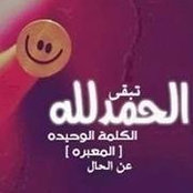 Sherif Gamal's photo