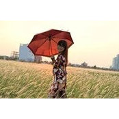 Trương Trinhs foto