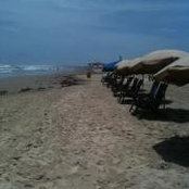 Cynthia Limn's photo
