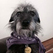 Lauren Holmes's photo