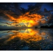 Austin Dickson's photo