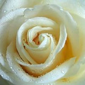 Michelle Danielian's photo