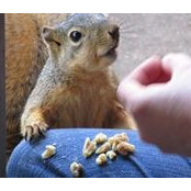 Susan Blalock's photo