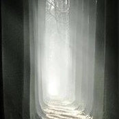 Erica Werner's photo