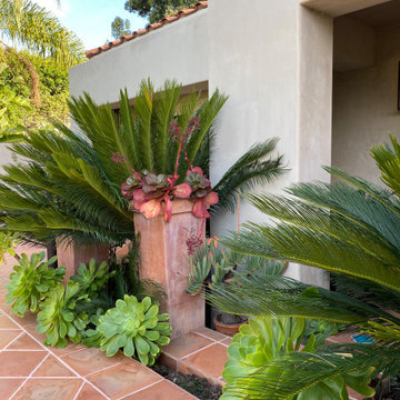 Mediterranean garden in Los Alto Hills