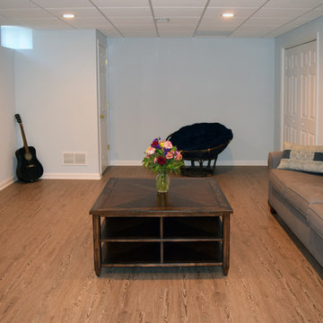 Custom Family Basement