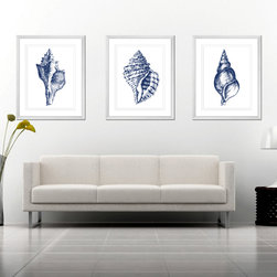 Navy Shells in situ - Artwork
