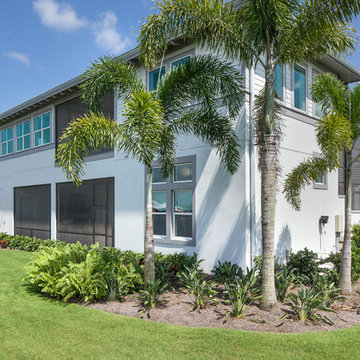 West Indies Modern