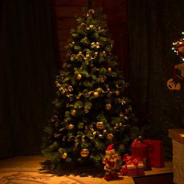 Christmas Tree #BestLight