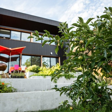 Full Plane Passive House