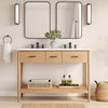 Zaire 48 Double Sink Compatible Bathroom Vanity Cabinet (Sink Basin Not Include