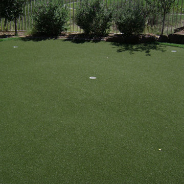 Roof, Deck & Patio Turf