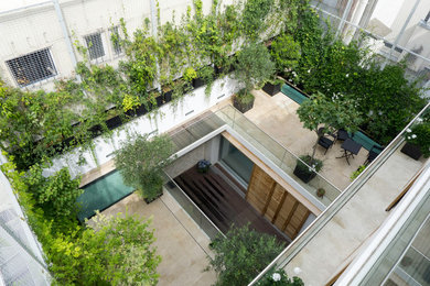 This is an example of a large contemporary back patio in Paris with a potted garden, natural stone paving and no cover.