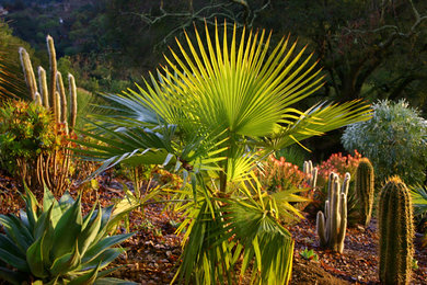 Inspiration for an eclectic landscaping in San Francisco.