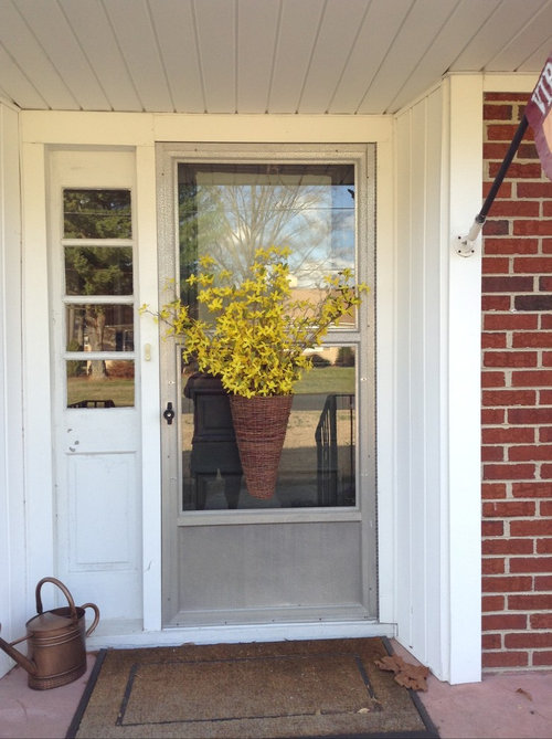 Color For Full View Storm Door