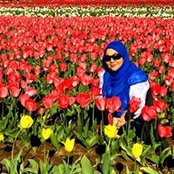 Mehra Shirazi's photo