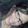 sarah_alexander8771