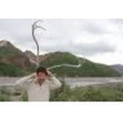 Noah Sawyer's photo