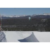 Antoine Non-chalantino's photo