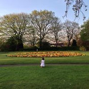 Ruh Chowdhury's photo